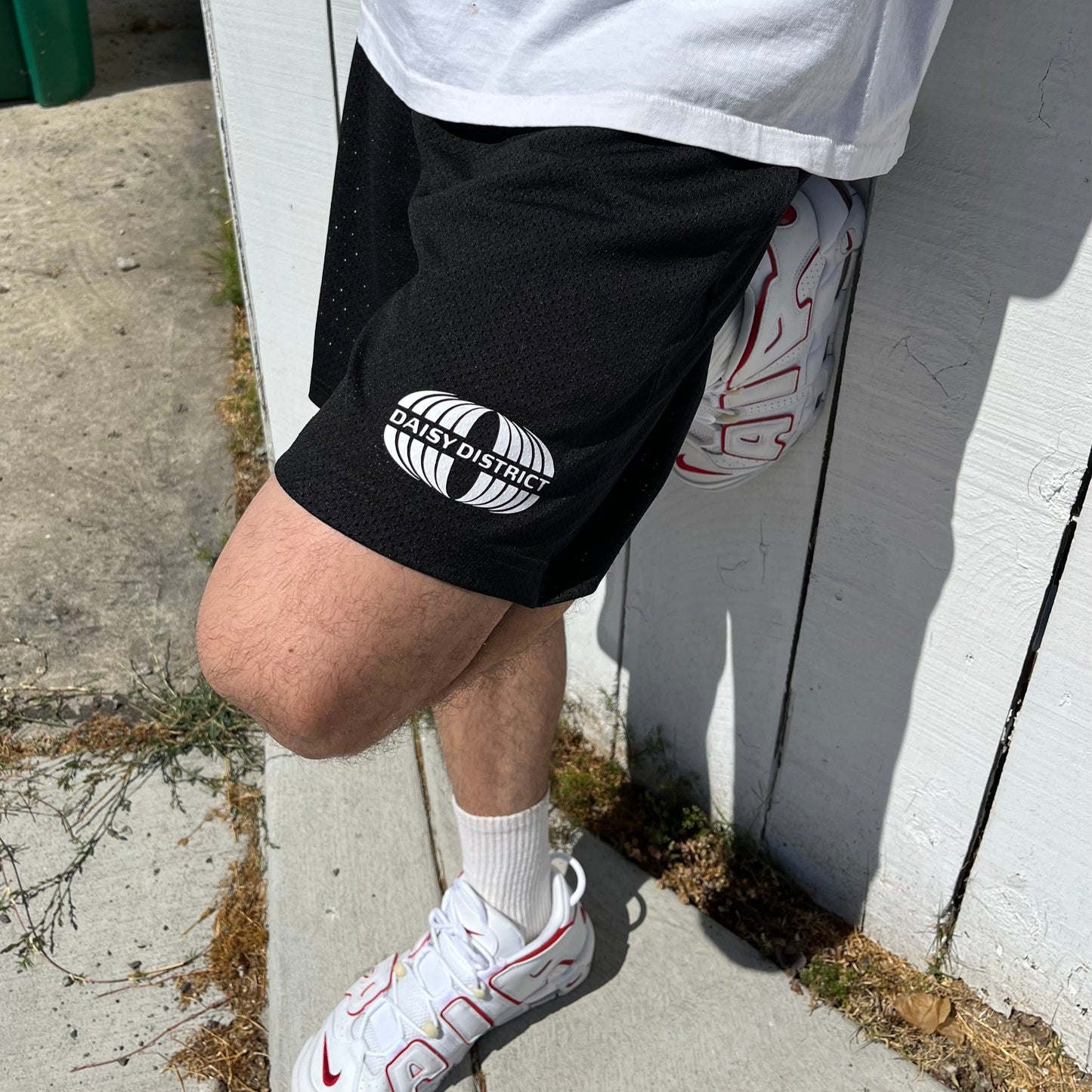 DD Mesh Short